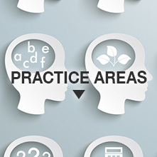 PRACTICE AREAS